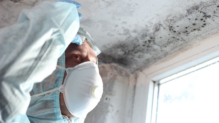 Why You Should Choose Our Mold Remediation Services in Colfax, CA